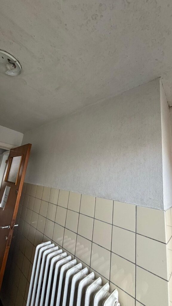 schimmel verwijderen