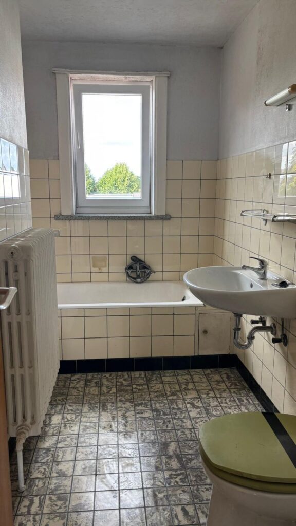 schimmel verwijderen