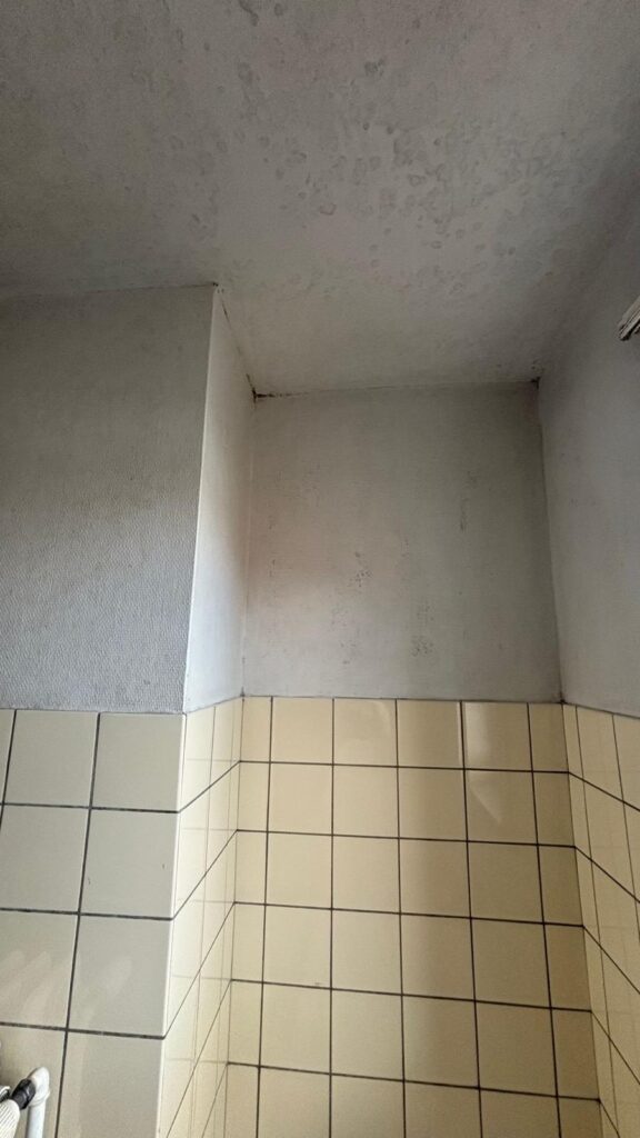 schimmel verwijderen